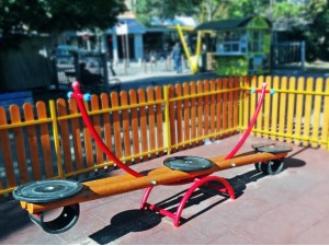 Балансир В 06